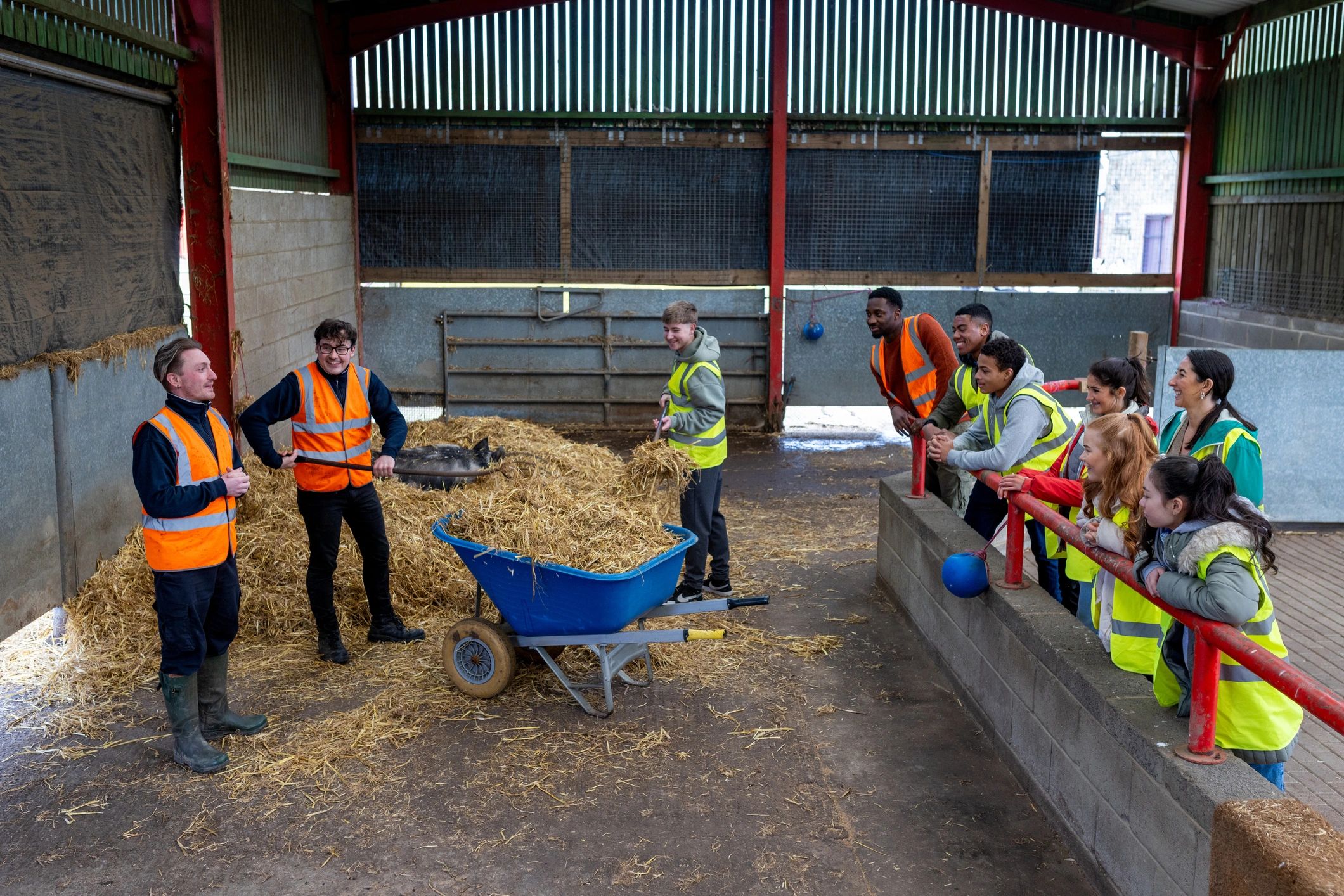 Students participating in agricultural field work