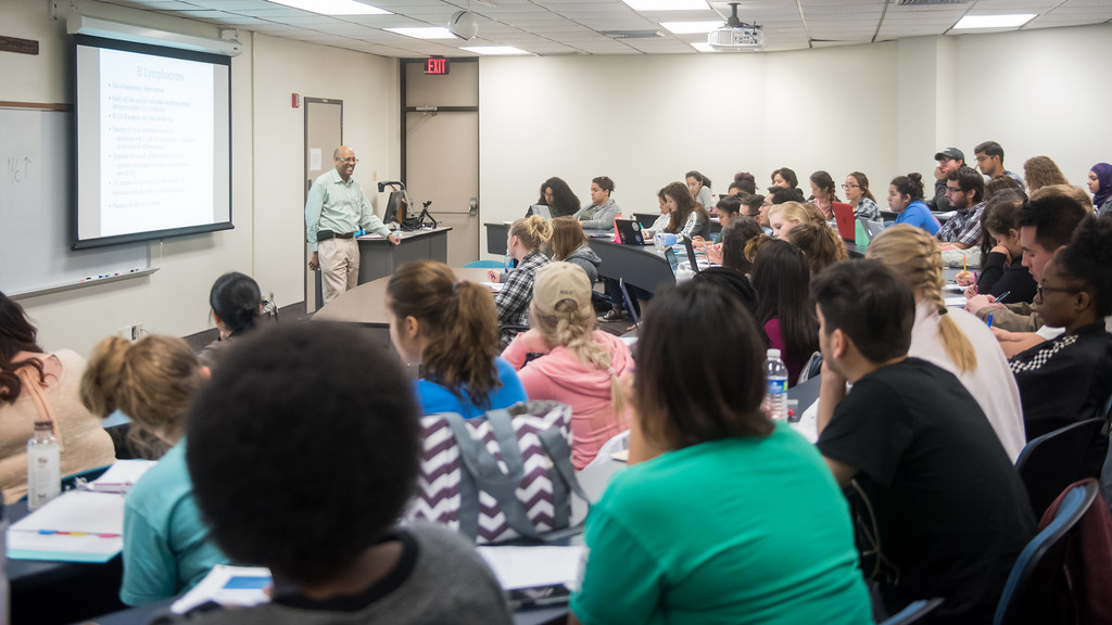 Instructor leading a classroom lecture with university students